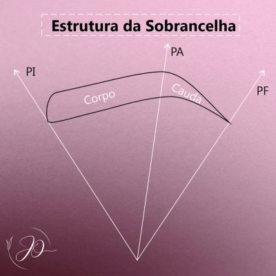 Estrutura da sobrancelha